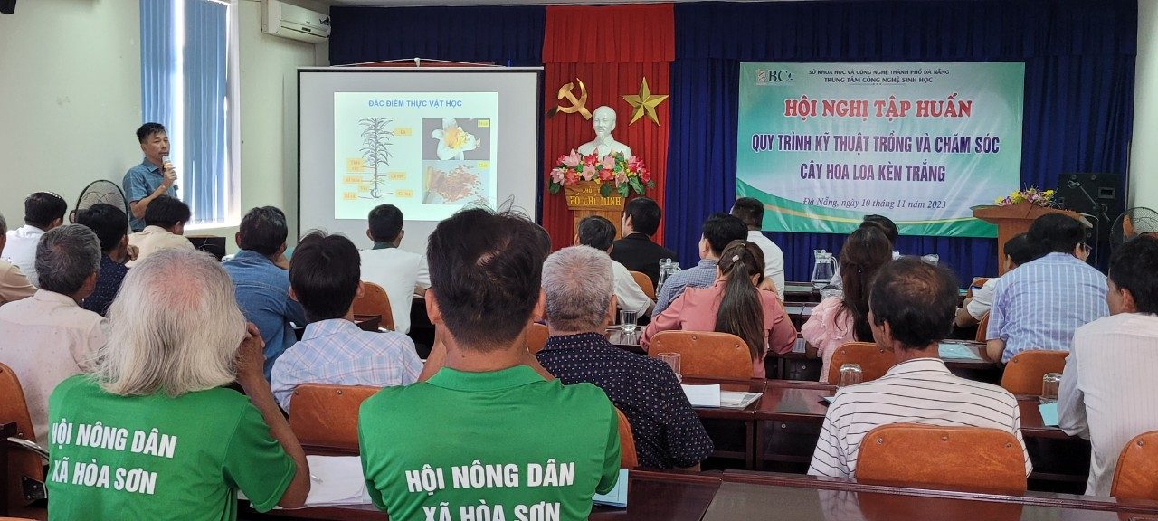 Hội nghị Tập huấn Kỹ thuật Trồng và Chăm sóc Hoa Loa Kèn tại Thành phố Đà Nẵng