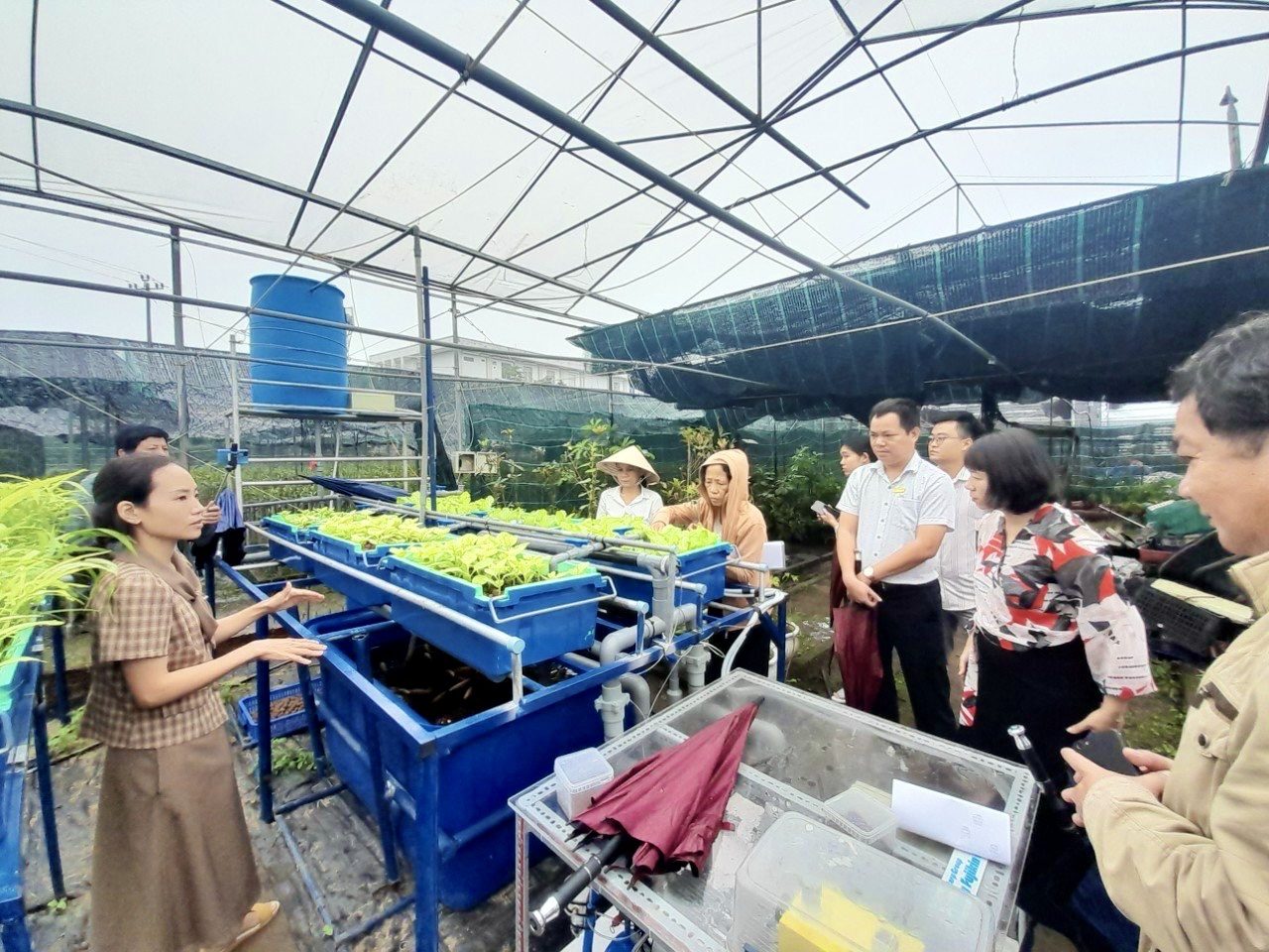 Hội thảo “Triển vọng và thách thức trong triển khai mô hình aquaponics trên địa bàn thành phố Đà Nẵng”