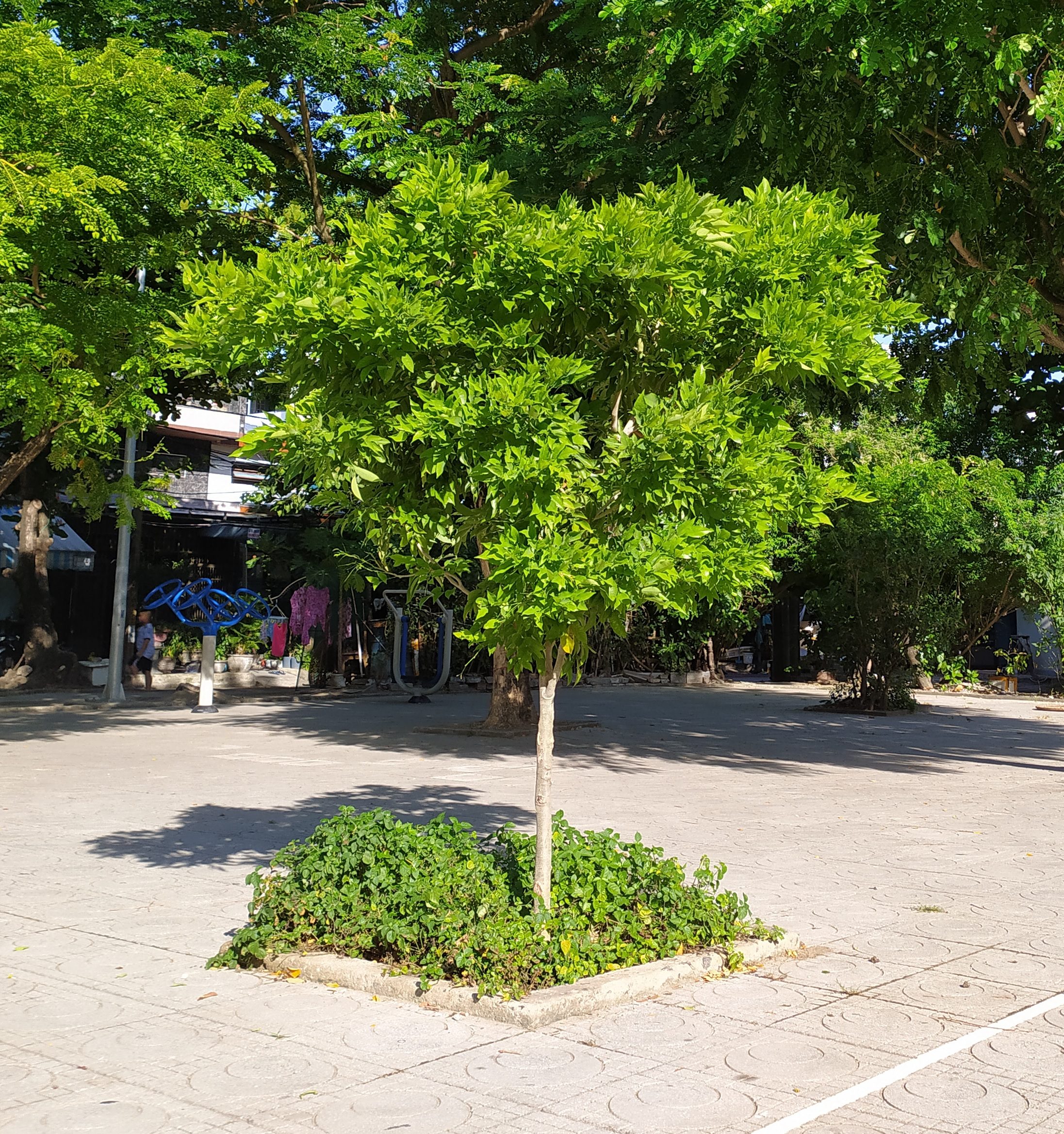 KẾT QUẢ THỰC HIỆN NHIỆM VỤ KHOA HỌC CÔNG NGHỆ CẤP THÀNH PHỐ NĂM 2024