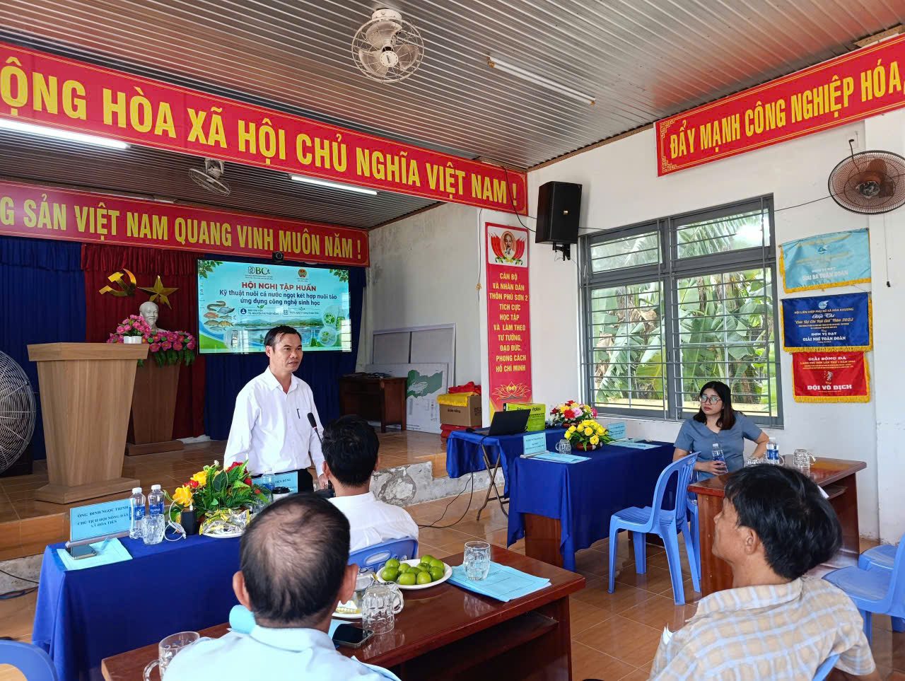Hình đại diện